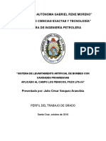 Perfil Del Trabajo de Investigacion