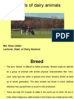 Breeds of Dairy Animals