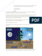 La Fotosíntesis Es Un Proceso Biológico Mediante El Cual Las Plantas Con Clorofila Captan La Energía Solar y Sintetizan Los Hidratos de Carbono A Partir Del CO2 y Del Agua