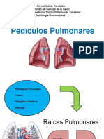 Pediculos Pulmonares