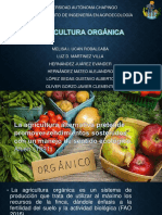 Agricultura Orgánica