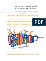 Transporte A Través de La Membrana Plasmática