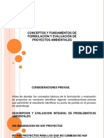 Proyectos Teoria General PDF