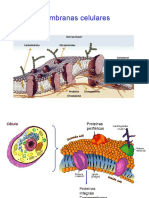 Membranas 2016.1