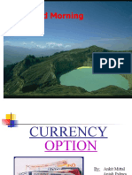 Currency Option (FINAL)