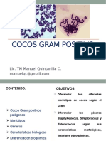 Cocos Gram Positivos