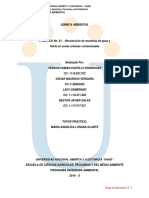 Informe Quimica Ambiental Practica N°1, 2, y 3