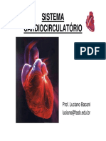 Sistema Cardiocirculatorio PPT P Ead