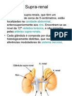 Hiperplasia Da Supra Renal