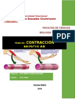 Contraccion Muscular