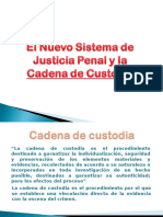 Cadena de Custodia 1