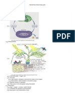 Biochemistry Notes-Study Guide