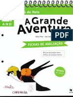 A Grande Aventura-Estudo Do Meio