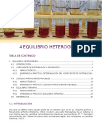 Equilibrio Heterogéneo