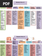 Imagenes Del Examen Fisico