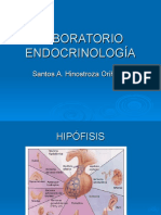 Endocrino - Laboratorio