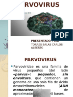 Exposicion Parvovirus