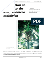 Pollination in The Coco-de-Mer, Lodoicea: Maldivica