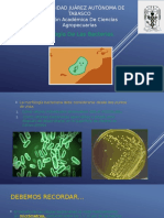 Morfologia de Las Bacterias