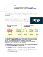 Los Ácidos Nucleicos