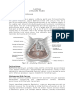 Bartholin's Cyst/Abscess