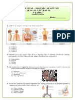 5º Básico 1