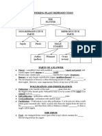 Flower Reproduction Worksheet