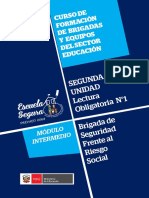 Riesgo Anexo 02 Brigada de Seguridad Frente Al Riesgo Social