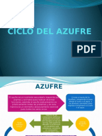 Ciclo Del Azufre