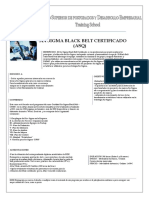 Six Sigma Black Belt Certificado + Anexos