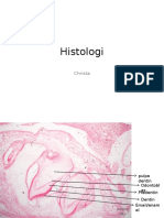 Histologi