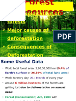 Forest Resources