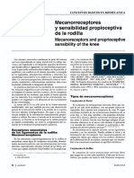 Mecanoreceptores PDF