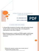 Structure of Eukaryotic Chromosome