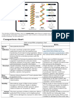 The Structure of DNA and RNA