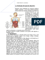 Anatomia y Fisiologia Del Aparato Digestivo