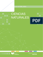 CCNN Completo PDF