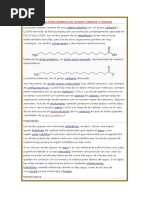 Estructura Química de Ácidos Grasos y Lípidos