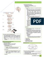 (PhysioB) Motor System II - Dr. Vila (Lea Pacis)