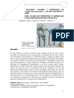 Evaluacion de Porcentaje de Enraizamiento de Ruda