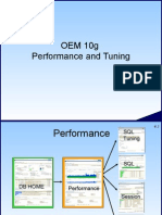 03a Oem10g Perf