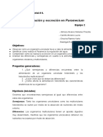 Práctica # 4 "Nutrición y Excreción en Paramecium"