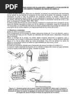 PRT - Bioensayo de Toxicidad Aguda Con Raiz de Cebolla