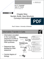 Nucleic Acids