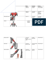 Muscles - Origins, Insertions and Actions