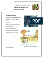 Practica de Raices de Analisis