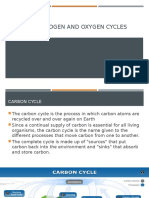 Carbon, Nitrogen and Oxygen Cycles