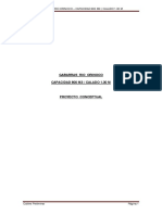 Gabarras Rio Orinoco - Proyecto Conceptual - 800 m3 Calado 1.30 M