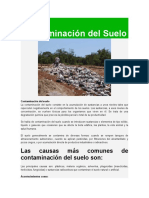 Contaminación Del Suelo