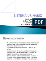 01 Anatomía Del Sistema Urinario